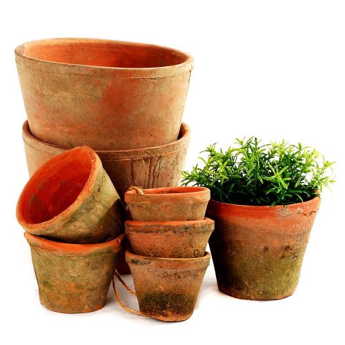 Antiqued Redstone Cactus Pot 13 x 10cm