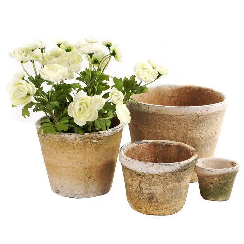 Antiqued Whitestone Cactus Pot 13 x 10cm